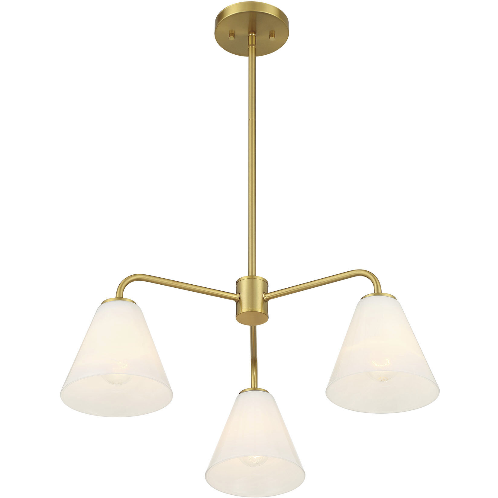 Blair 3 Light 24 inch Warm Brass Chandelier Ceiling Light